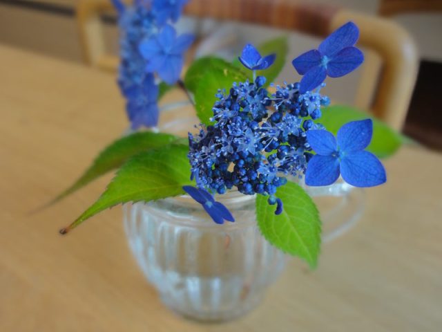 熊本市南区十禅寺　Ｈ様邸