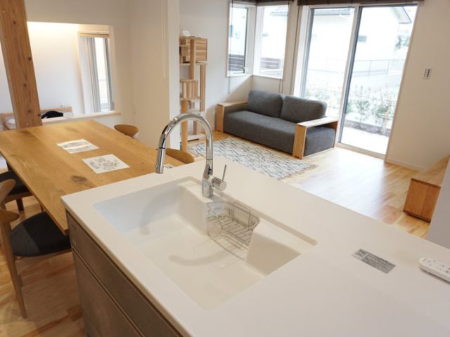 新産住拓　猫の家