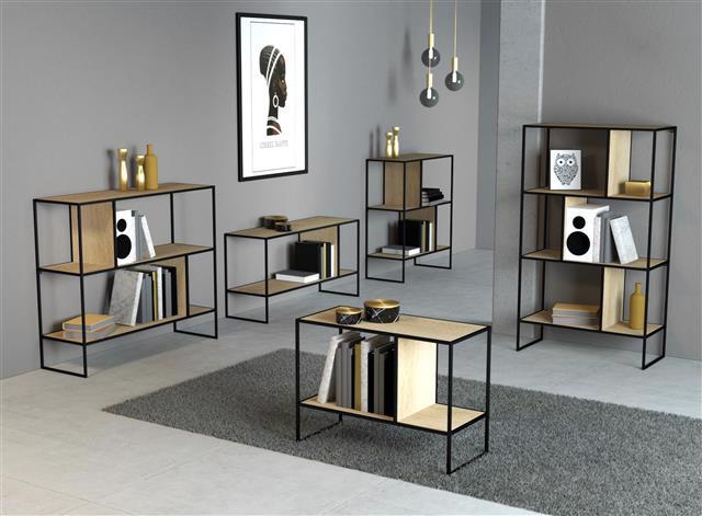 キャンペーンのご案内 ―DICE Shelf with Green―