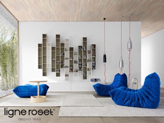 「ワイズデイ菊陽店」にリーン・ロゼを見に行こう！